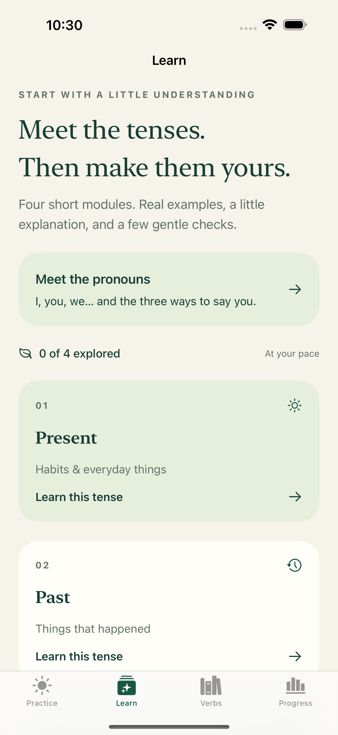 Learn screen with pronoun guidance and present and past tense modules
